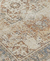 Livabliss Lillian Machine Washable LLL2317 2'7" x 7'3" Runner Area Rug