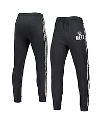 Men's Concepts Sport Charcoal Brooklyn Nets Team Stripe Jogger Pants