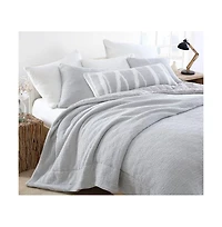 Sunday Citizen Snug Comforter, Twin