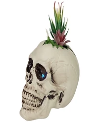 8.75" Led Lighted Succulent Halloween Skull Planter