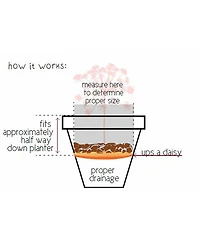 Bloem T6320 Planter Insert, Plastic, 10 Inch