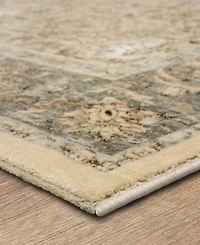 Karastan Divina Virtuous 5' x 7'10" Area Rug