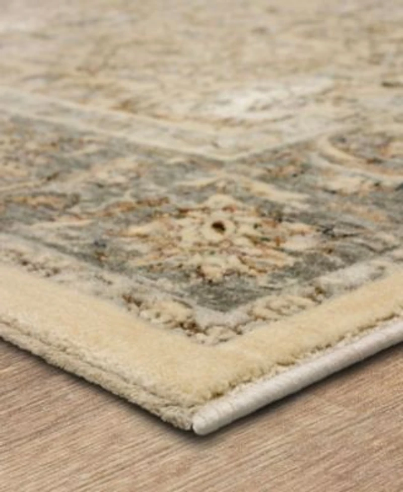Karastan Divina Virtuous Area Rug