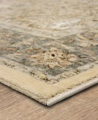 Karastan Divina Virtuous Area Rug