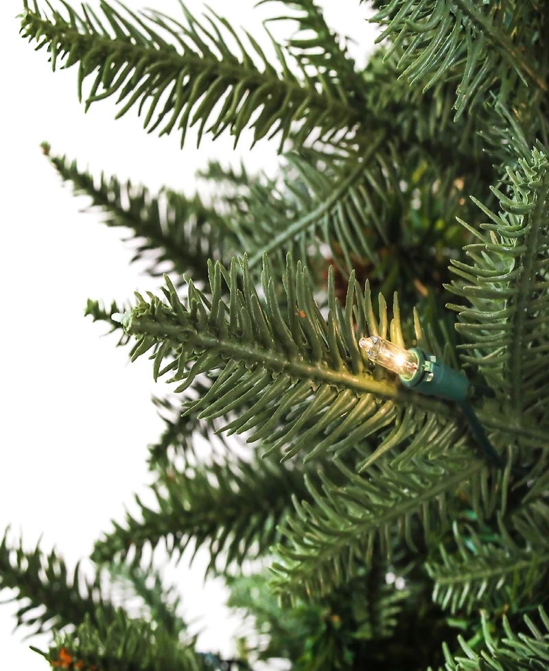 National Tree Company 3' Evergreen Pathway Tree with Clear Lights