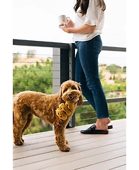 P.l.a.y. Pup Cup Cafe Collection: Cookies N' Treats