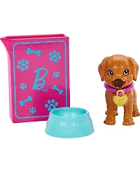 Barbie Doll and Accessories Pup Adoption Playset with Doll