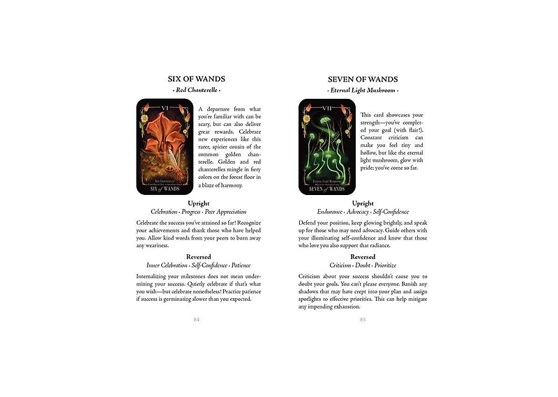 Midnight Magic- A Tarot Deck of Mushrooms by Sara Richard
