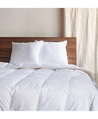 2 Pack - 24" x 24" Down Alternative Throw Pillow Insert