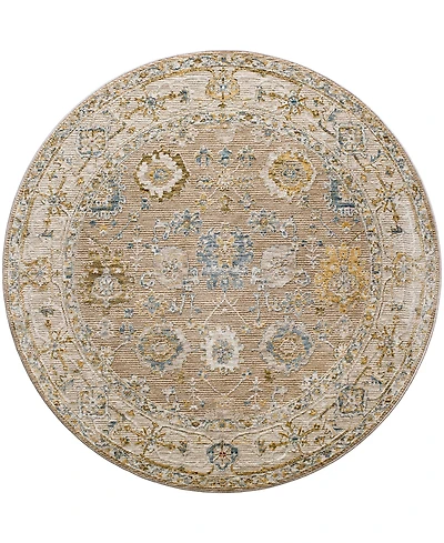 Surya Reina Ren-2308 5'3" x 5'3" Round Area Rug
