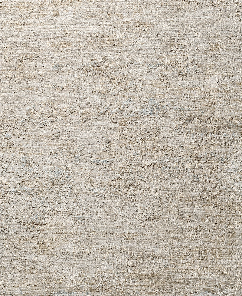 Livabliss Masterpiece High-Low Mpc-2318 2'8" x 3'11" Area Rug
