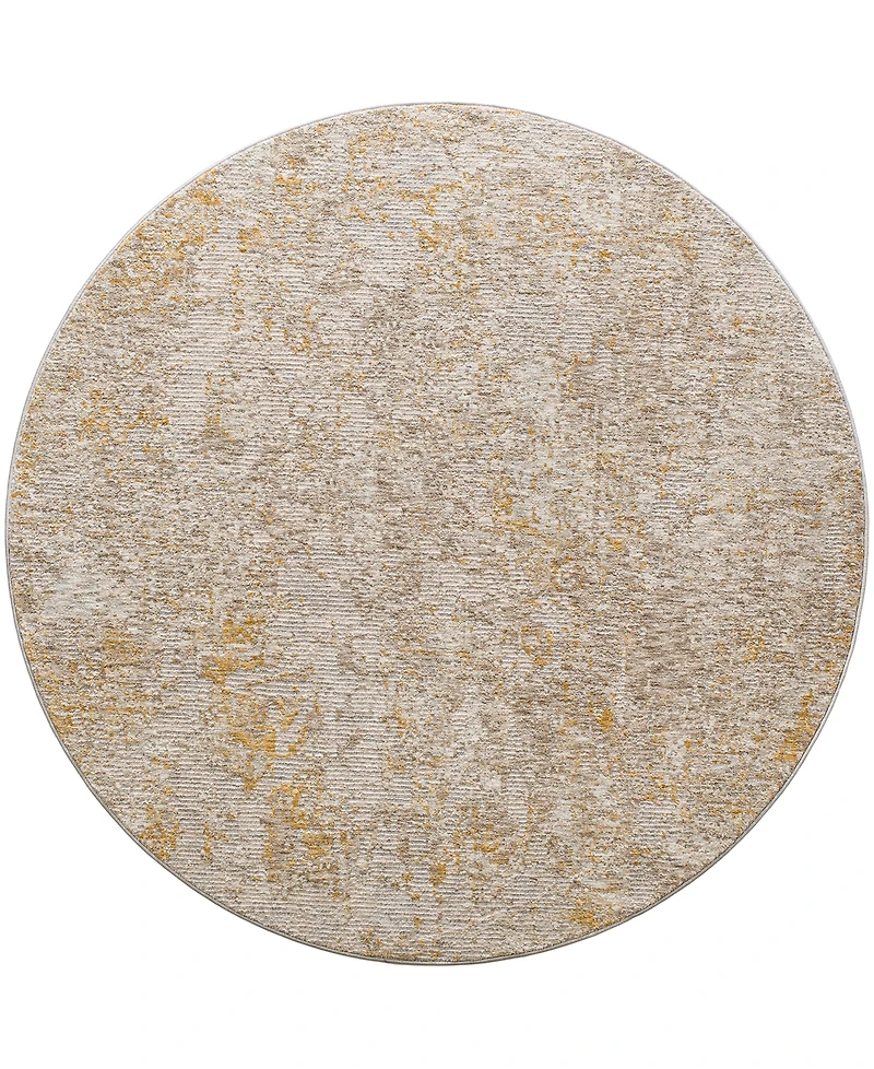 Surya Reina Ren-2310 7'10" x 7'10" Round Area Rug