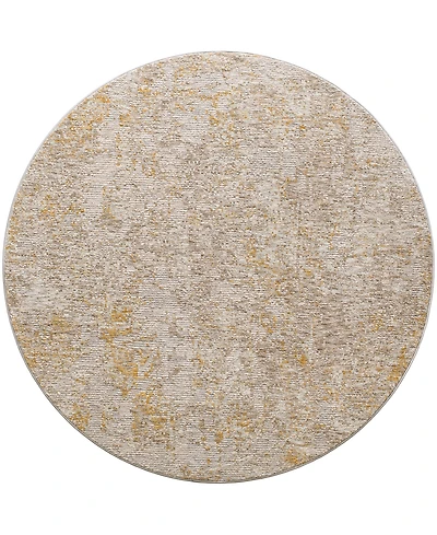Surya Reina Ren-2310 7'10" x 7'10" Round Area Rug