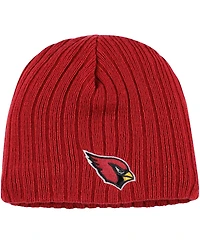 Infant Boys and Girls New Era Cardinal Arizona Cardinals Mini Fan Beanie