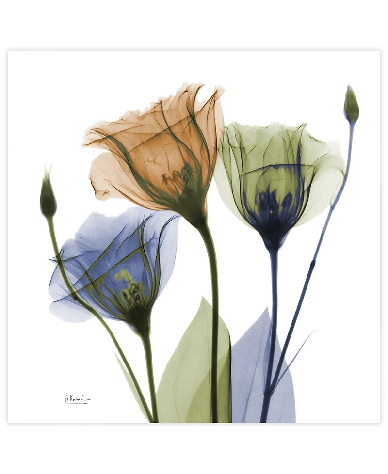 Empire Art Direct "Gentian Buddies" Frameless Free Floating Tempered Glass Panel Graphic Wall Art, 24" x 24" x 0.2"