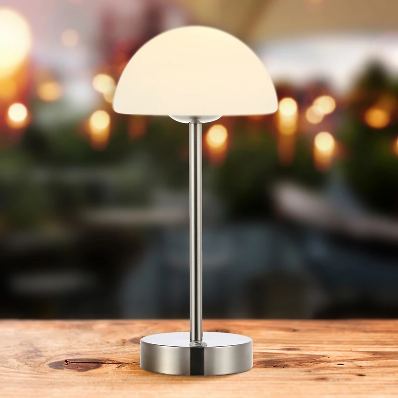 Xavier Modern Minimalist Iron Rechargeable Integrated Led Table Lamp