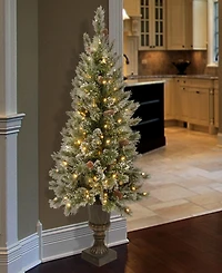 National Tree Company 4' Glittery Bristle Pine Entrance Tree with 100 Clear Lights