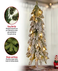 National Tree Company 24" Snowy Downswept Forestree with Metal Plate and 50 Clear Lights