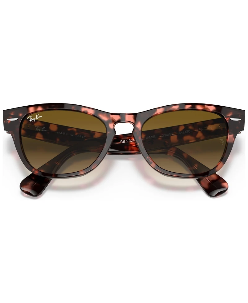 Ray-Ban Unisex Laramie Sunglasses, Gradient RB2201