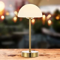 Xavier Modern Minimalist Iron Rechargeable Integrated Led Table Lamp