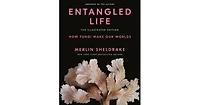 Entangled Life- The Illustrated Edition- How Fungi Make Our Worlds by Merlin Sheldrake