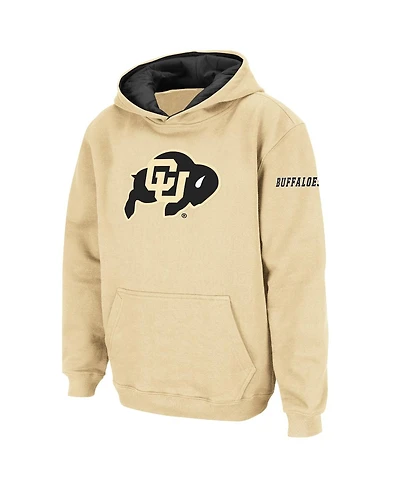 Big Boys Colosseum Gold Colorado Buffaloes Logo Pullover Hoodie