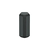 Sony XE300 Portable Bluetooth Speaker