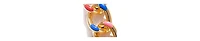Sohi Women's Gold Metallic Chainlink Necklace