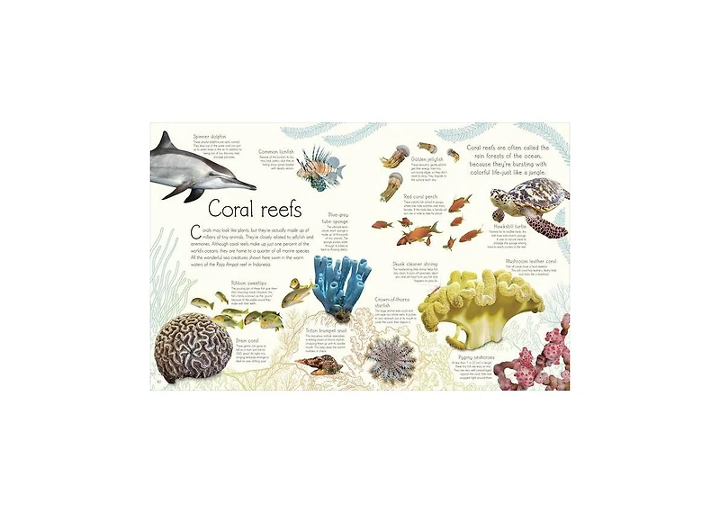 An Anthology of Aquatic Life by Sam Hume