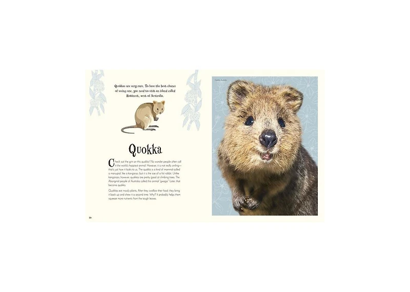 An Anthology of Intriguing Animals by Dk