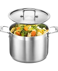 Bakken-Swiss 8-Quart Brushed Stainless Steel Stockpot with Lid – Heavy-Duty Induction Pot with Riveted Handles – Ideal for Soup, Seafood