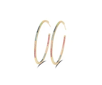 Rainbow Hoop Earrings