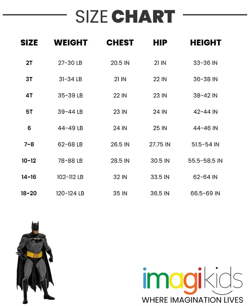 Justice League Little Boys Fleece Pullover Hoodie