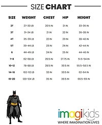 Justice League Little Boys Fleece Pullover Hoodie