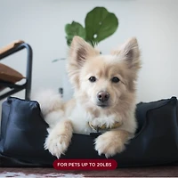 Night Mulberry Silk Dog Bed