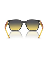 Arnette Men's Hamie Sunglasses, Gradient AN4325