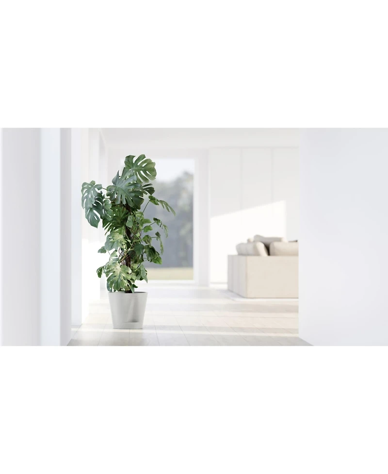 Ecopots Venice Indoor and Outdoor Planter with Water Reservoir, 12in