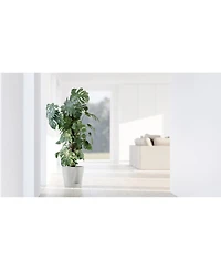 Ecopots Venice Indoor and Outdoor Planter with Water Reservoir, 12in