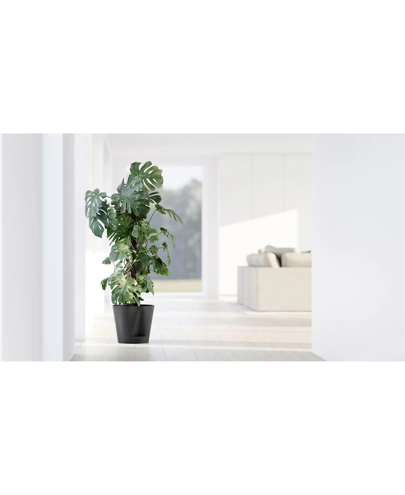 Ecopots Venice Indoor and Outdoor Planter with Water Reservoir