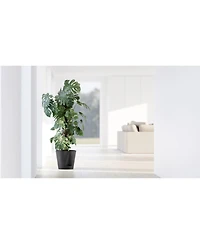 Ecopots Venice Indoor and Outdoor Planter with Water Reservoir