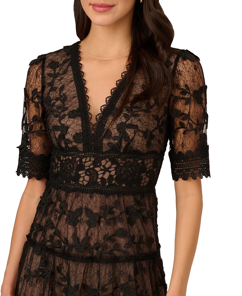 Adrianna Papell Women's V-Neck Lace Embroidery Dress