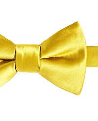 Tayion Collection Men's Black & Gold Solid Bow Tie