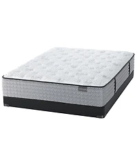 Aireloom Hybrid 13" Plush Mattress