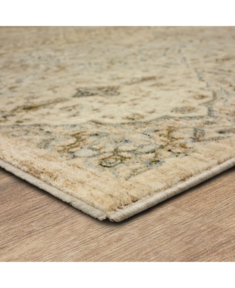Karastan Divina Gloriana 2'6" x 7'10" Runner Area Rug