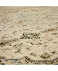 Karastan Divina Gloriana 2'6" x 7'10" Runner Area Rug