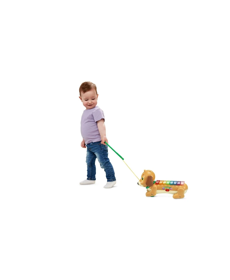 VTech Zoo Jamz Doggy Xylophone