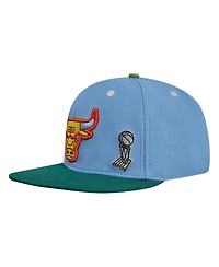 Men's Pro Standard Light Blue, Green Chicago Bulls Retro Program 2-Tone Snapback Hat