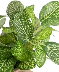 Northlight 8" Reticulated Artificial Spring Foliage in Ceramic Pot