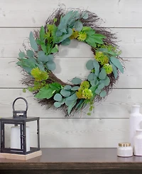Northlight Olive Leaf and Floral Twig Spring Wreath, 23"