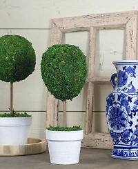 Northlight 14" Reindeer Moss Ball Potted Artificial Spring Topiary Tree